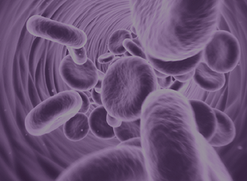 Сепсис, ДВС-синдром и антикоагулянты. новый взгляд на терапию коагулопатии